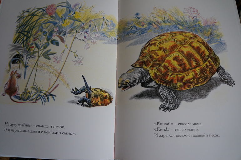 Луговая считалочка