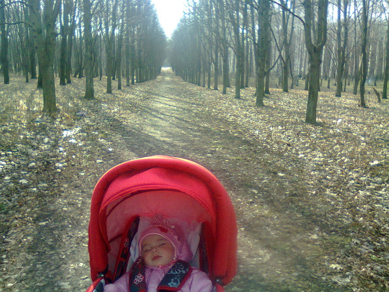 Наши прогулки (накопленные фотки)