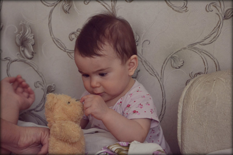 Утро в медвежьем бору