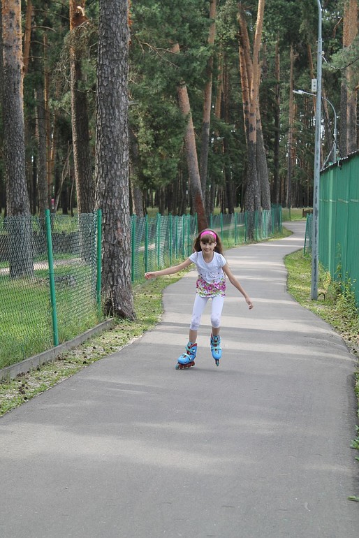 Сосновый парк и земляника 04.07.14