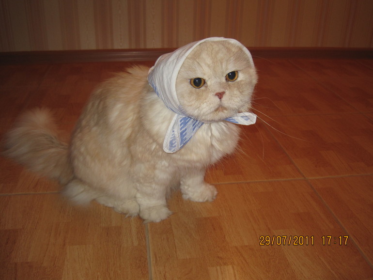 А вот мой красавец мужчина!!!