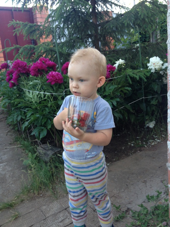 Тема-огородник и цветовод