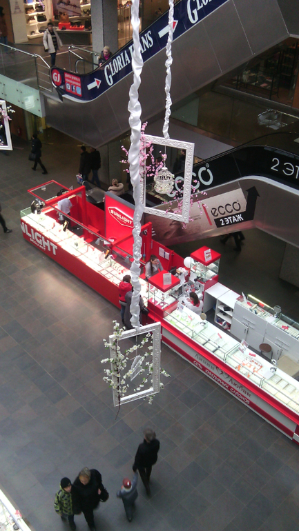 Торгушка цветет