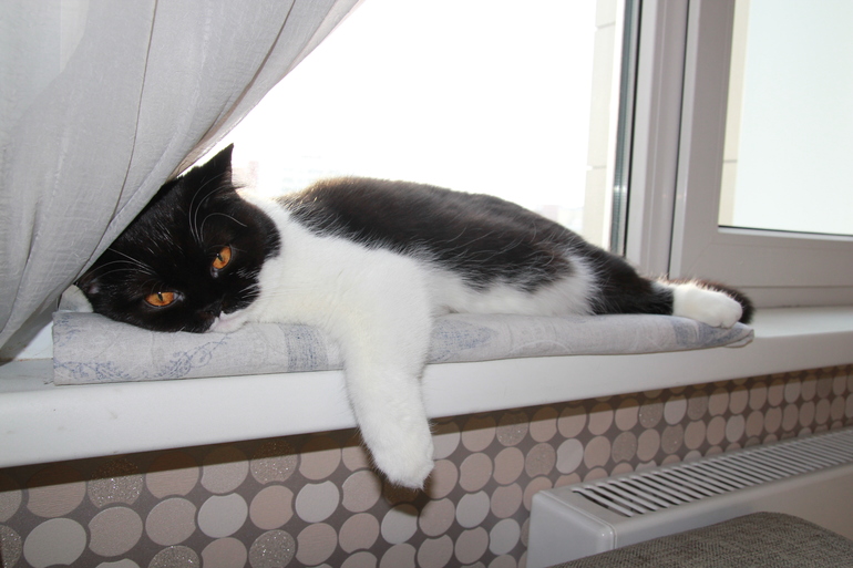 моя маленькая валентинка))