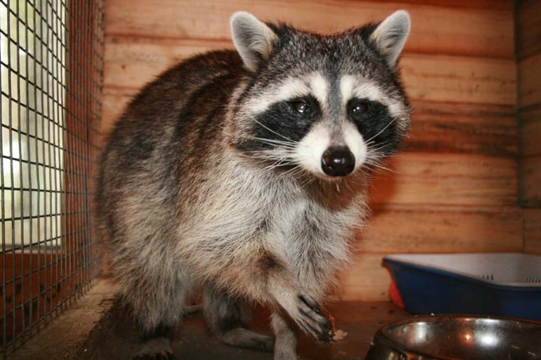 Томская Писаница! что соскучилась я по ней... (утомительный пост)