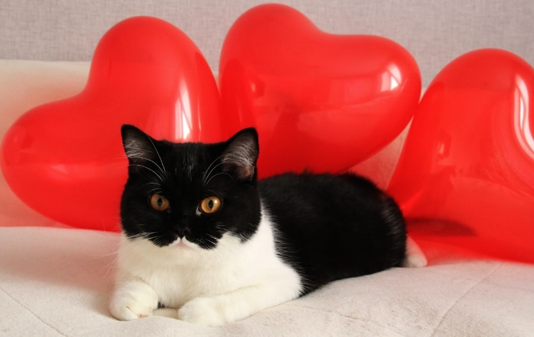 моя маленькая валентинка))