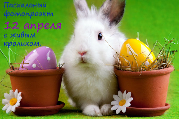 Пасхальная фотосессия 12 апреля