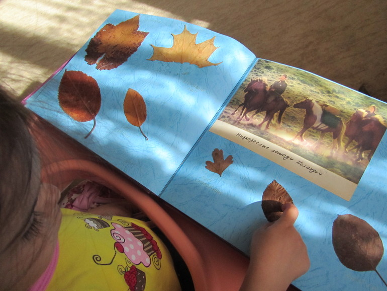 ТЗ "Деревья"