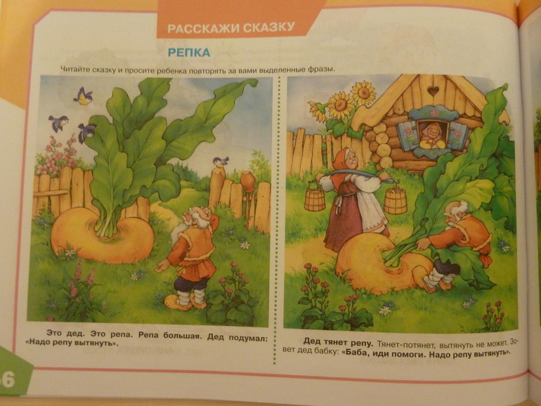 А началось все с курочки рябы;)