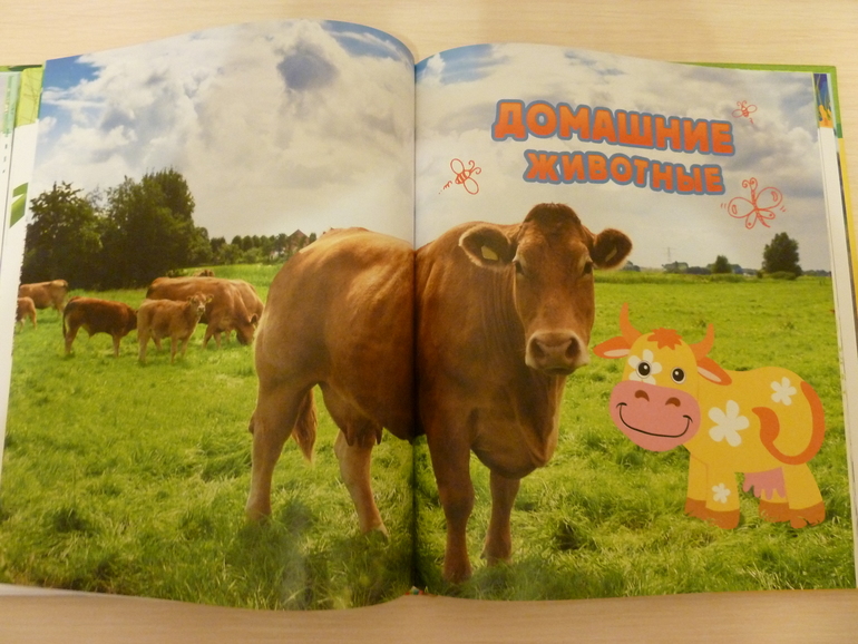 А началось все с курочки рябы;)