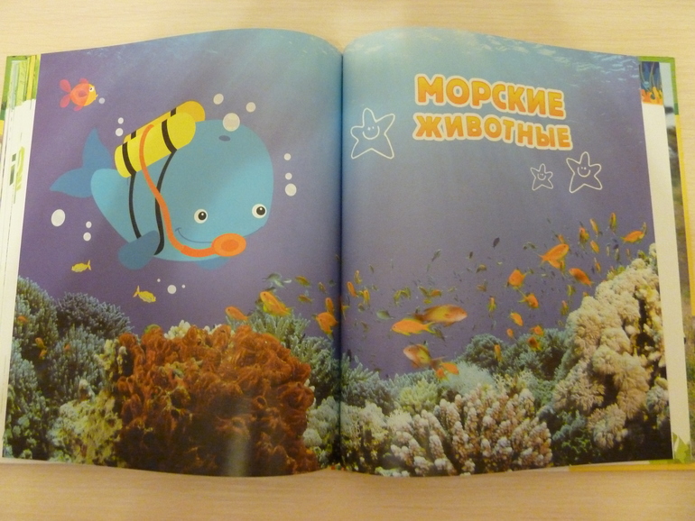 А началось все с курочки рябы;)