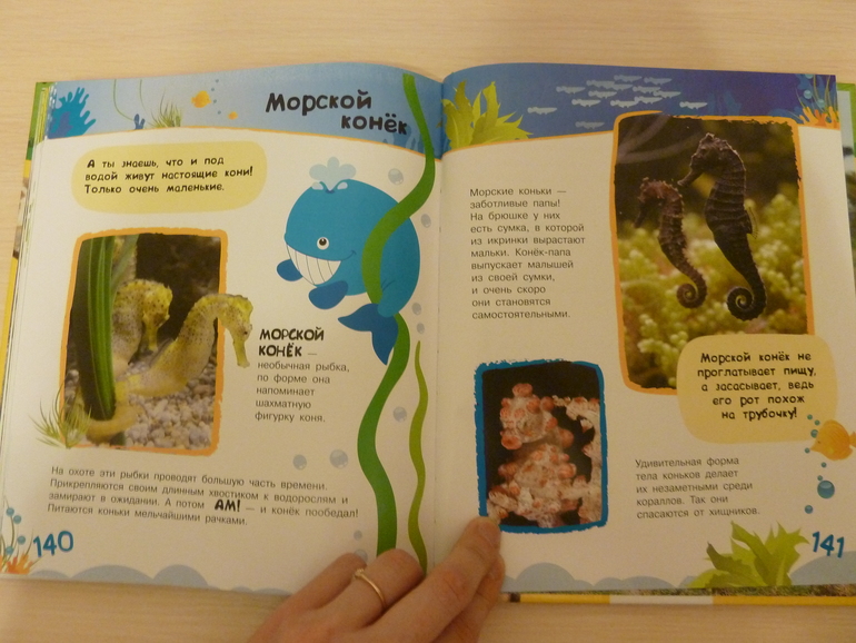 А началось все с курочки рябы;)