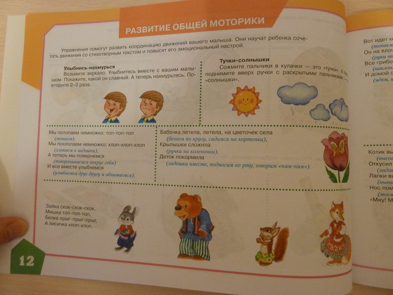 А началось все с курочки рябы;)