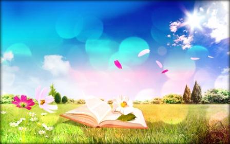 Книжная полка (мечты сбываются) часть-4.