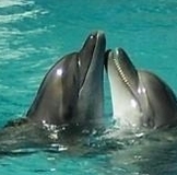 День Рождения у Наташи!!!