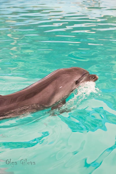 Морское в Екатеринбурге.