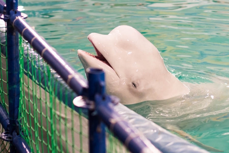 Морское в Екатеринбурге.