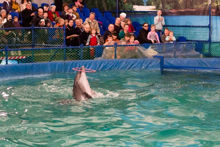 Морское в Екатеринбурге.