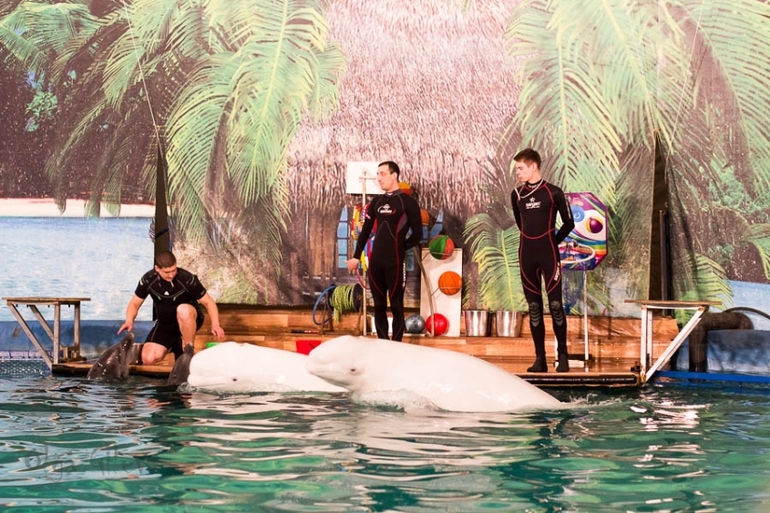 Морское в Екатеринбурге.