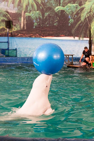 Морское в Екатеринбурге.