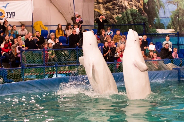 Морское в Екатеринбурге.