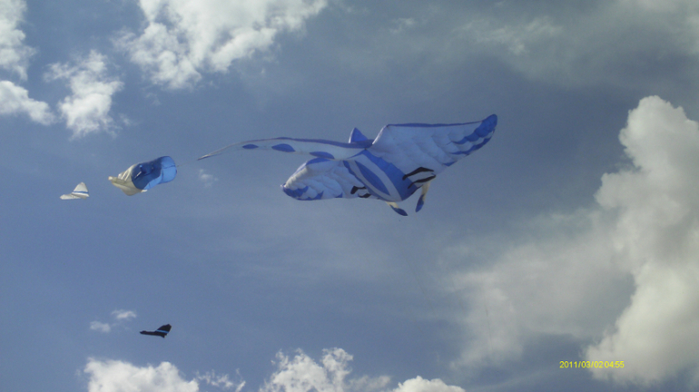 теперь о радостном и с фото)