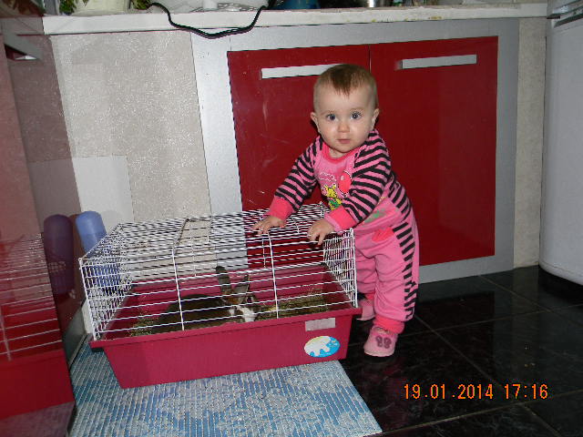 А вот и наши будни))))