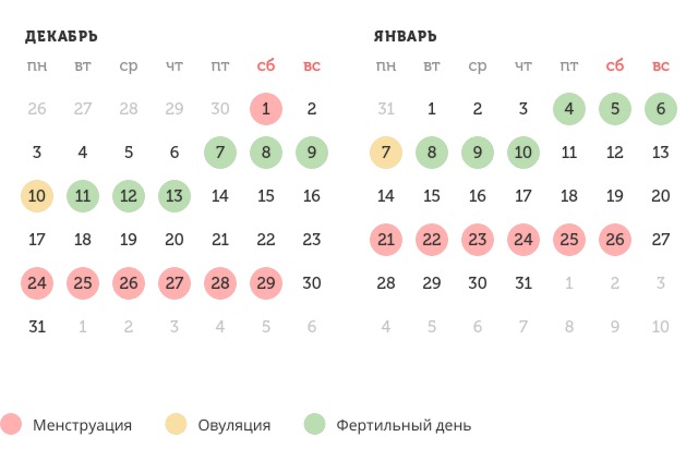 Калькулятор овуляции