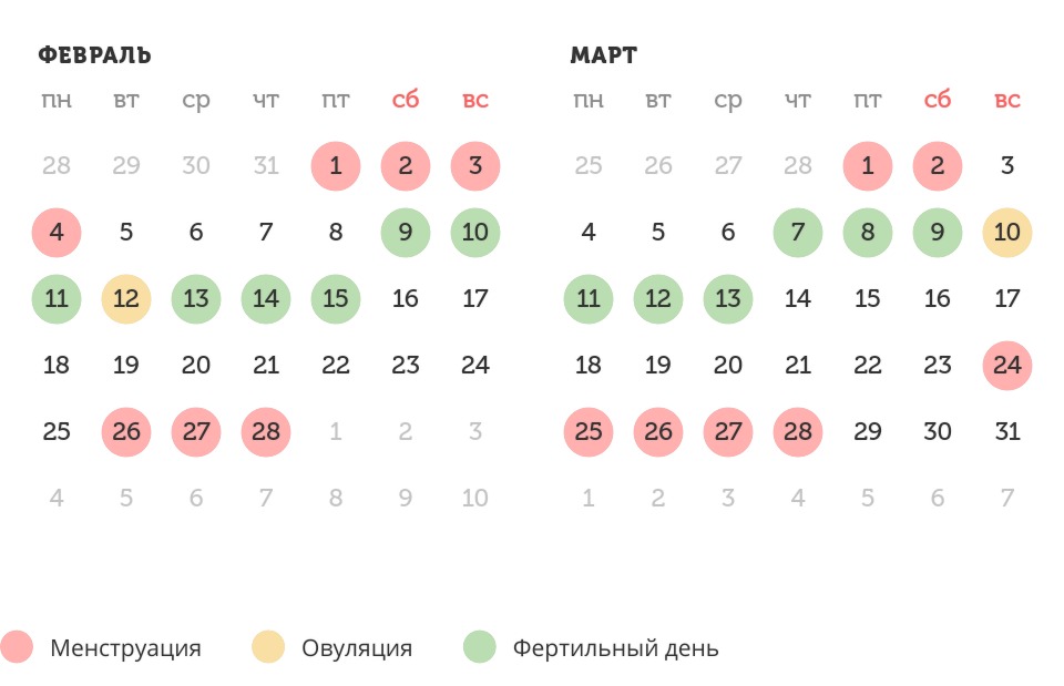 Калькулятор овуляции