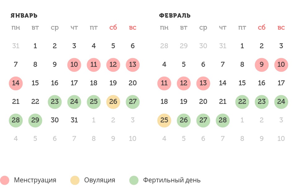 Калькулятор овуляции