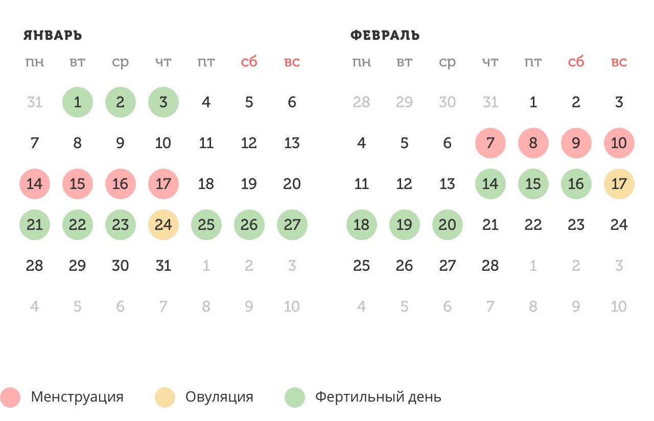 Калькулятор овуляции