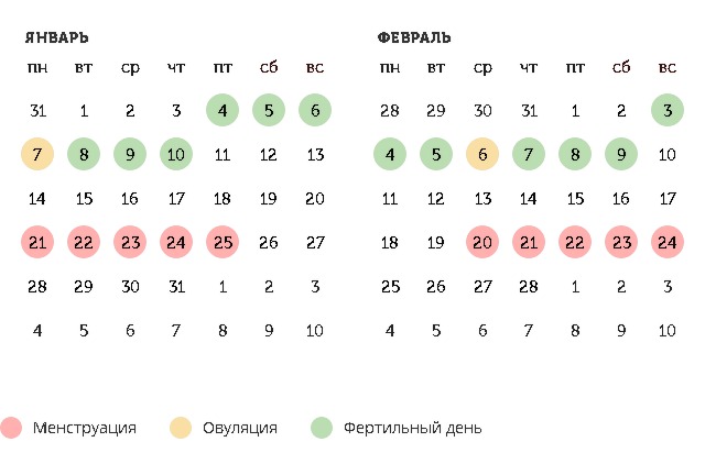 Калькулятор овуляции