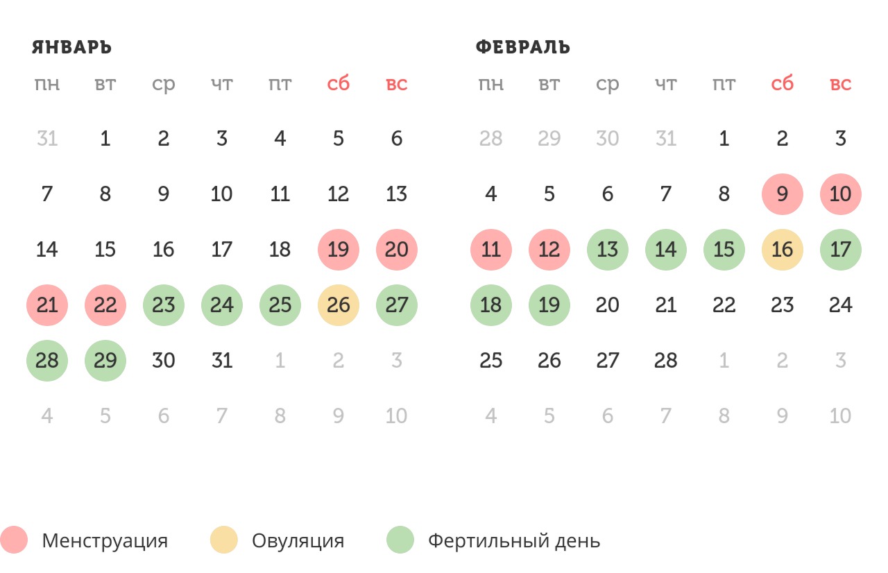 Калькулятор овуляции