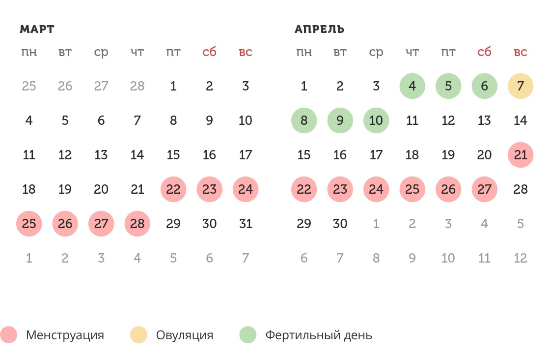 Калькулятор овуляции
