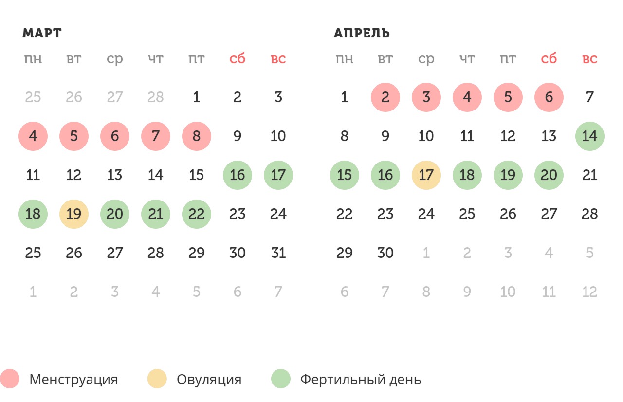 Калькулятор овуляции