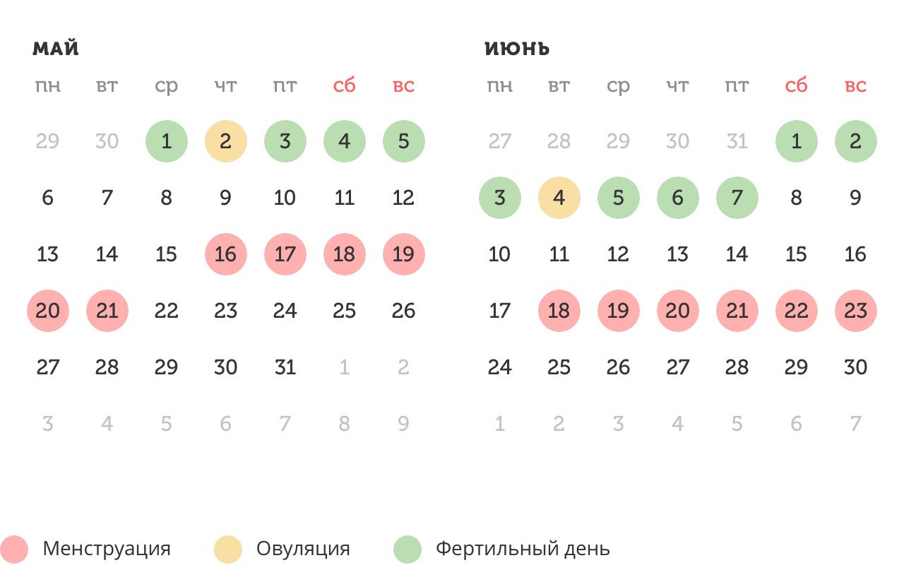 Калькулятор овуляции