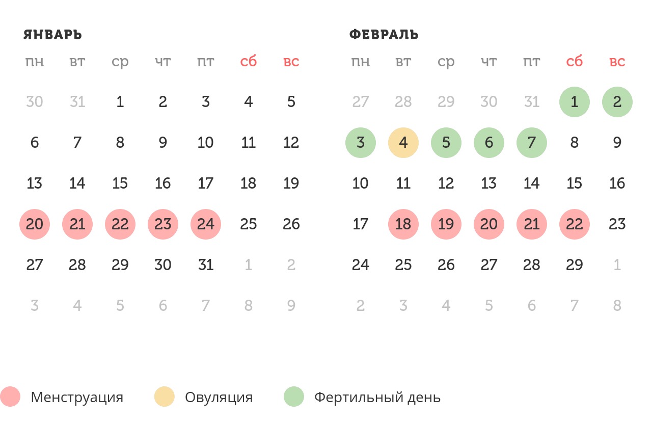 Калькулятор овуляции