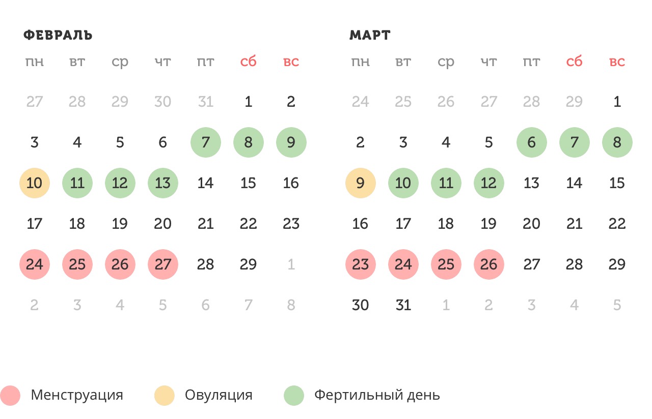 Калькулятор овуляции