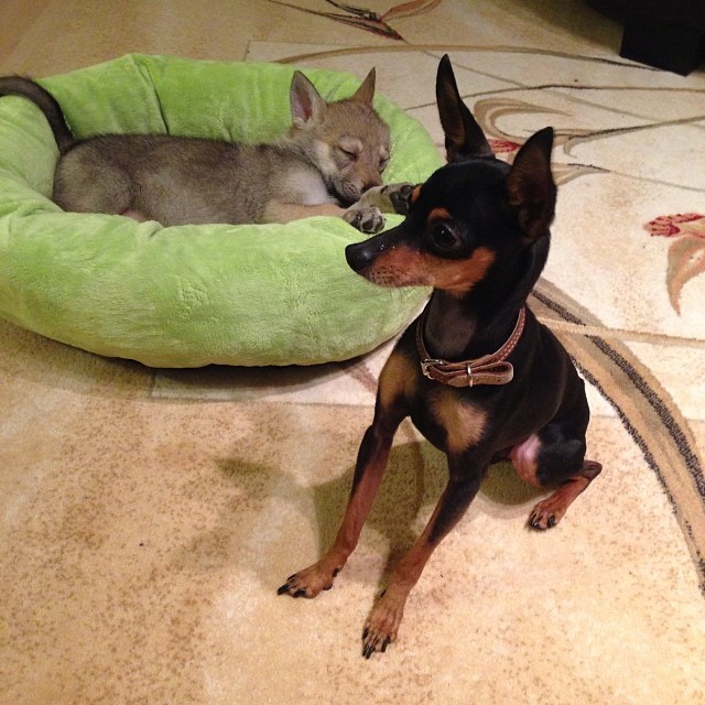 Вот мы и дома :)