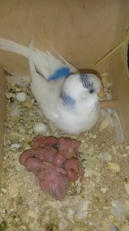 Продолжение