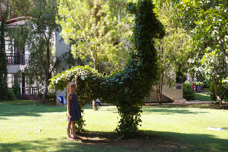 Турция, август-сентябрь 2013 г.