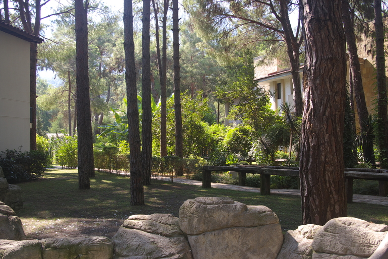 Турция, август-сентябрь 2013 г.