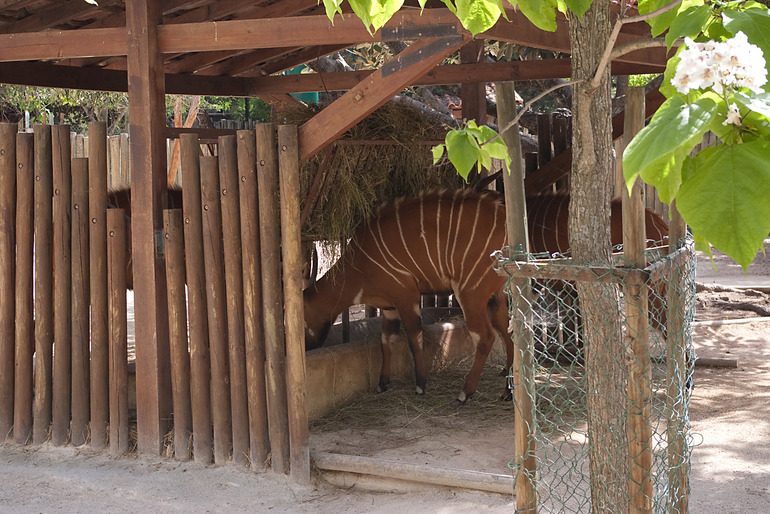 Португалия 2 часть