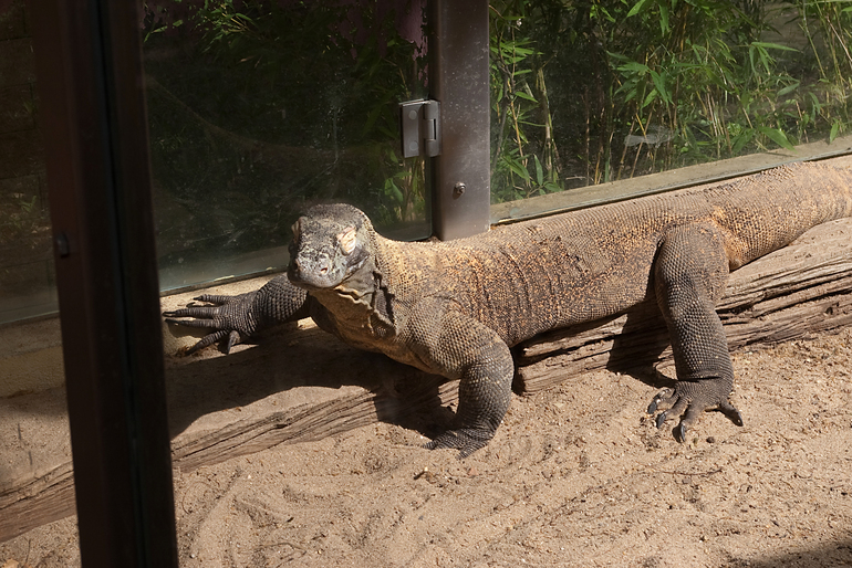 Португалия 2 часть