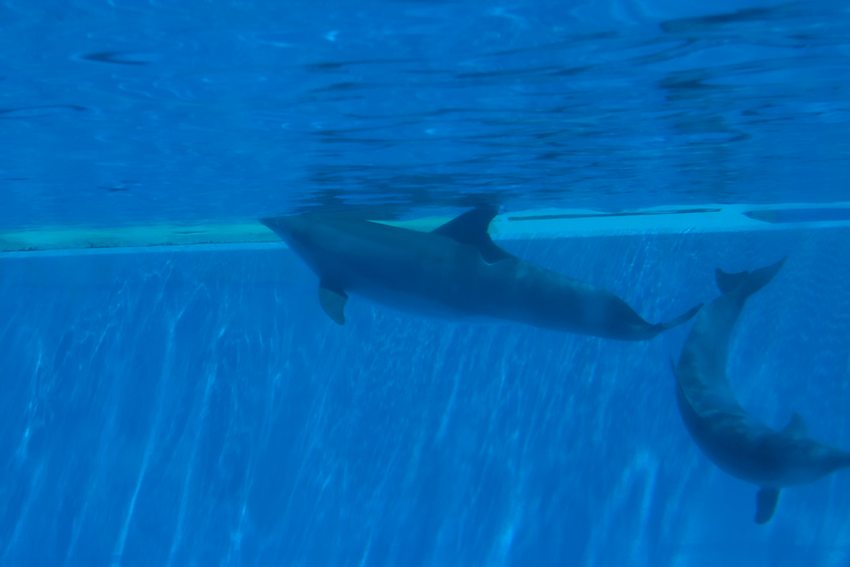 Португалия 2 часть