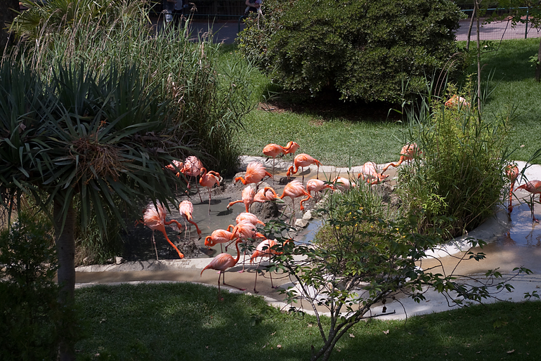 Португалия 2 часть