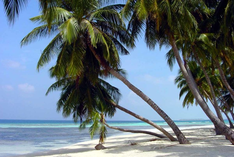 Фотосессия в Маями в ноября!