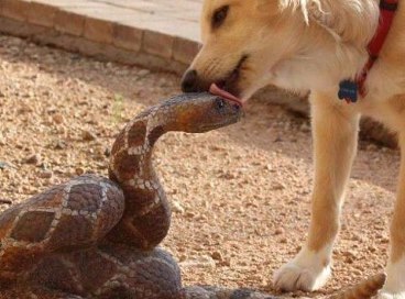 сижу улыбаюсь))) ничего не напоминает?