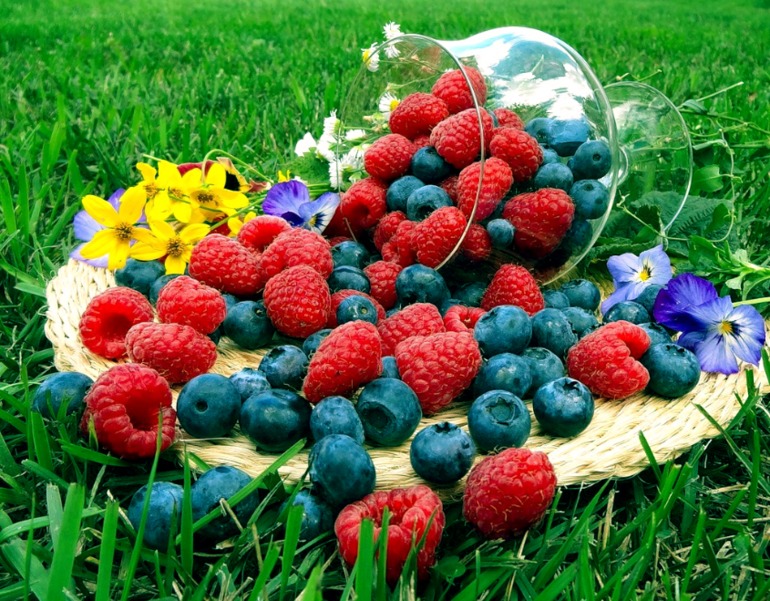 Контрольная работа №6. 3 способа цветокоррекций фотографий.