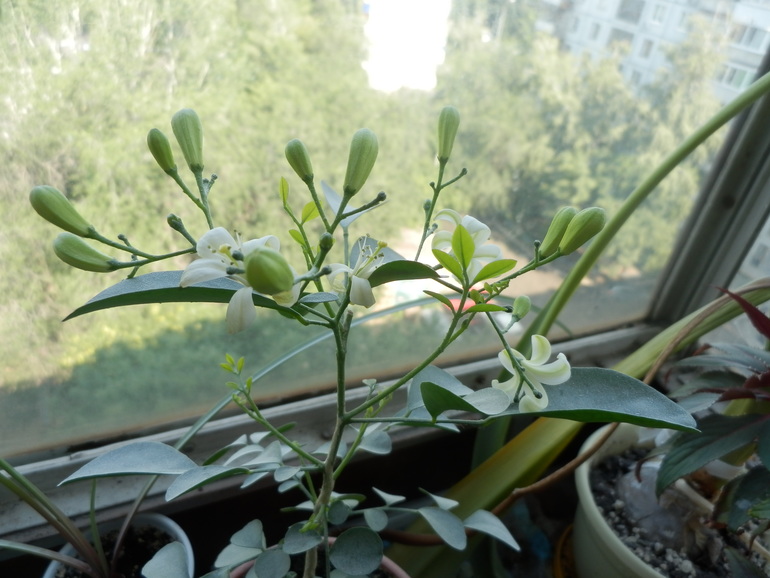 Итоги лета. Некоторые из моих любимчиков.